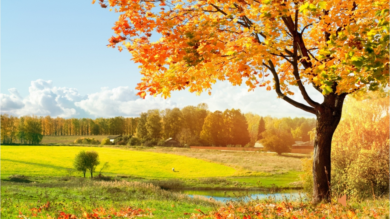 高中主题班会《—认识幸福职业  拥抱幸福人生 》李老师新质力文库 - 聚焦新质生产力发展的数字化知识库_行业洞察 / 理论成果 / 实践指南免费下载新质力文库